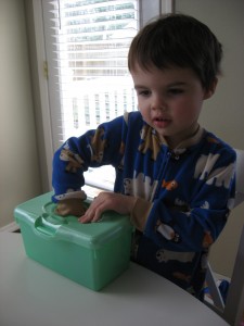 5 senses lesson 5 senses lesson