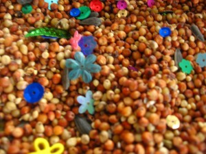 Sensory Activity Sensory Activity
