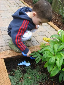 Find and Count Bug Hunt Find and Count Bug Hunt