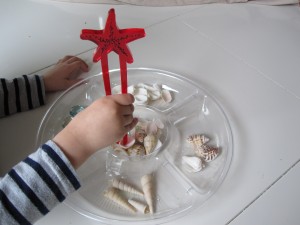Preschool Shell Sorting Activity Preschool Shell Sorting Activity