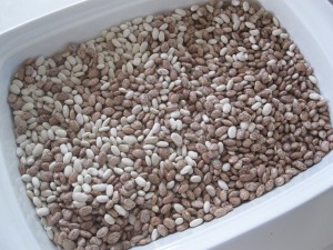 Fall Themed Sensory Tub