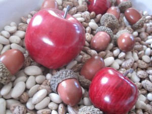Apples and Acorns