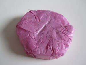 Sea Urchin Craft