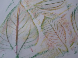 Fall leaf rubbing