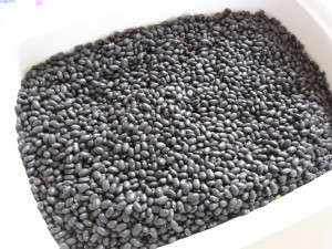 Halloween Sensory Tub