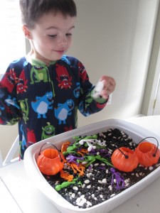 Halloween Sensory Tub