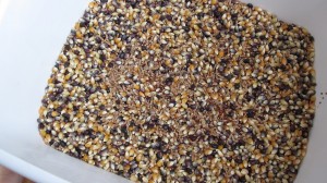 Thanksgiving Sensory Tub
