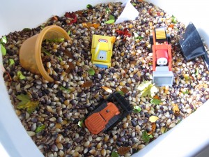 Sensory Bin