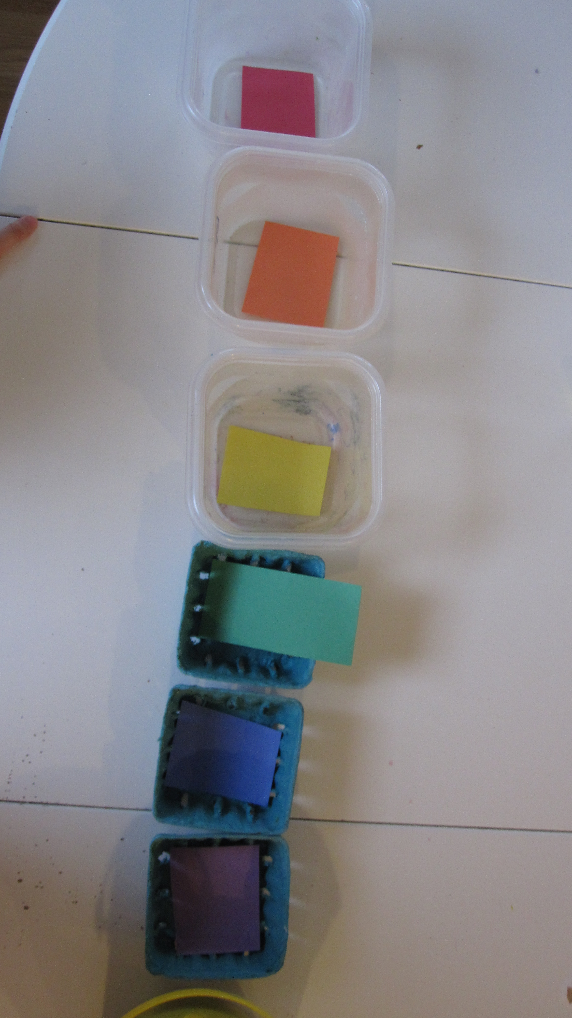 Trash Rainbow Sorting