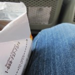 Goldfish in the car
