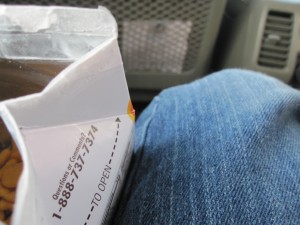 Goldfish in the car