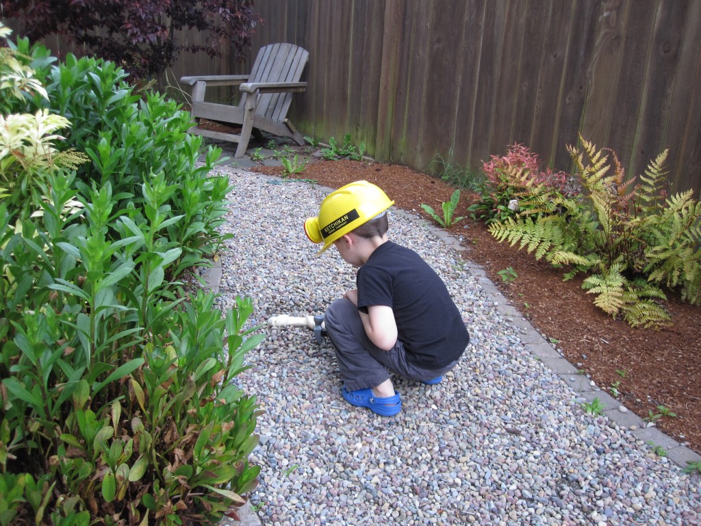 Backyard Dinosaur Dig
