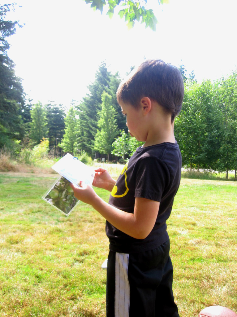 backyard photo treasure hunt