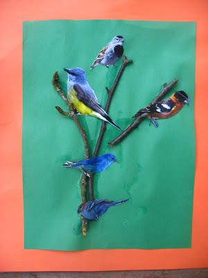 bird craft