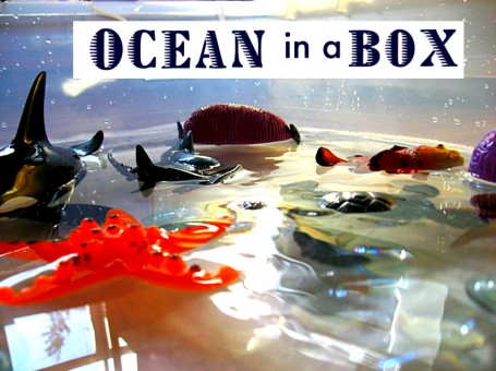 ocean sensory tub