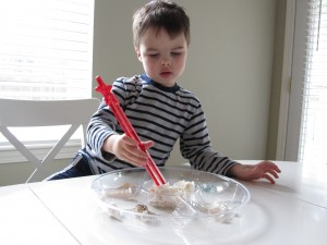Preschool Shell Sorting Activity 