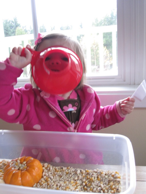 Sensory Tub For Toddlers