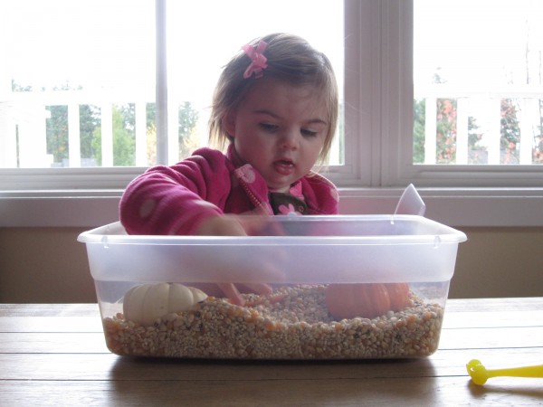 Simple Sensory Tub