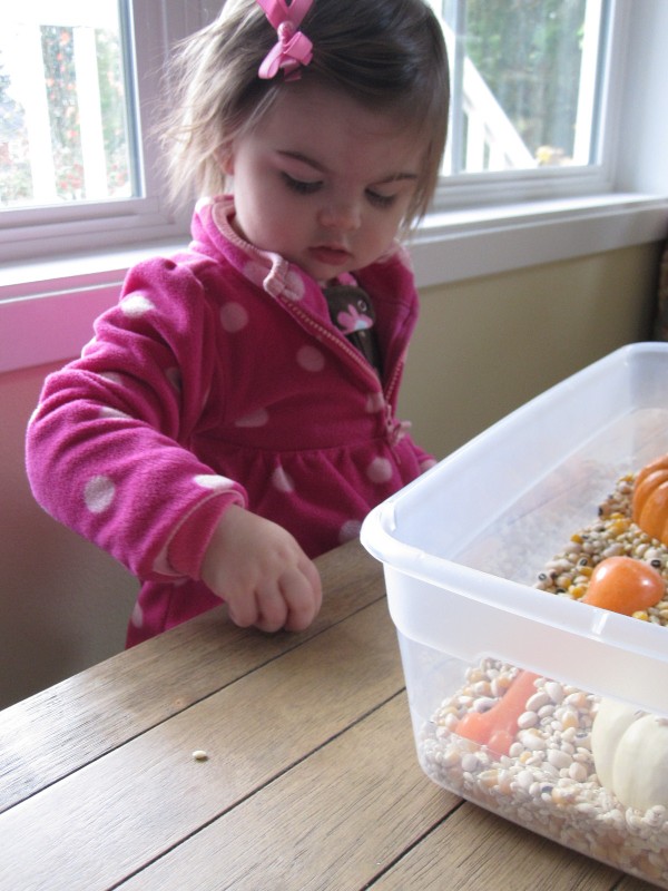 Simple Sensory Tub