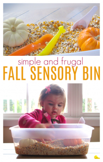 fall sensory bin for toddlers