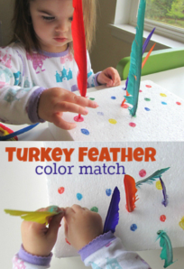 fine motor color match
