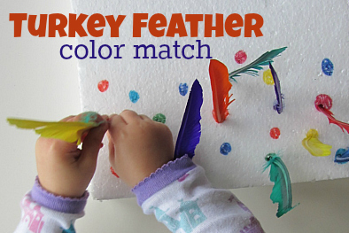 turkey feather color match