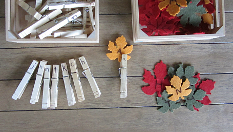 leaf letter match with clothes pins