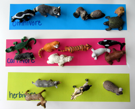 Science For Kids : Omnivore, Herbivore, or Carnivore ? - No Time For Flash  Cards