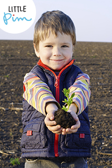 Little boy on field holding the plant