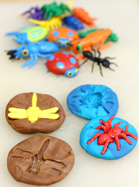 playdough bug fossils