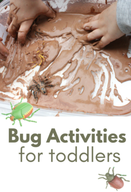 bug activities for toddlers