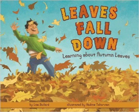 leaves fall down