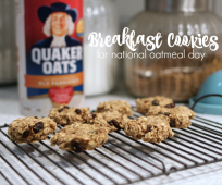 oatmeal cookies no eggs no wheat