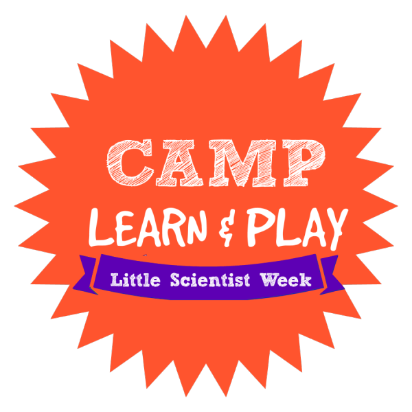 no time for flash cards camp learn and play