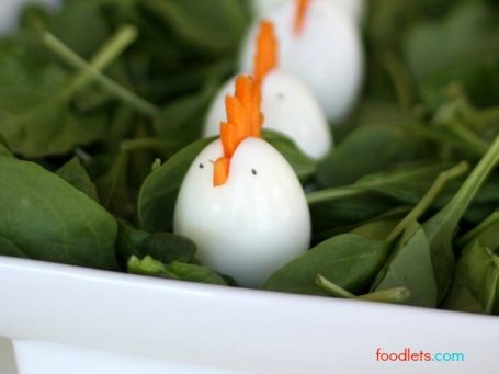 foodlets.com egg chickens 