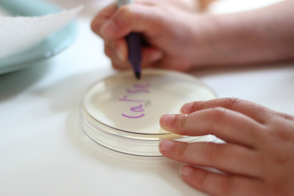 writing on petri dishes for bacteria growth science experiment