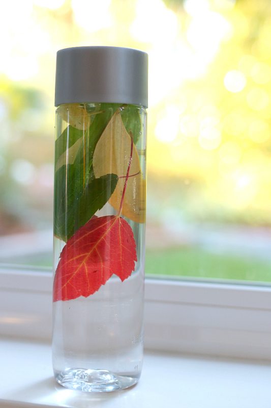 fall-nature-bottle-preschool-science-for-kids