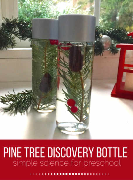 Winter sensory bottle for preschool. Make this Pine Tree Discovery bottle for preschool science area.