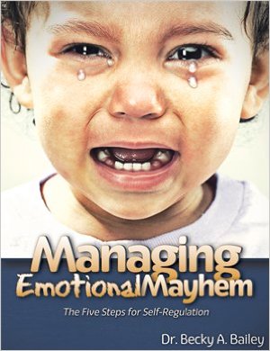 Managing Emotional Mayhem at home feeling buddies kit