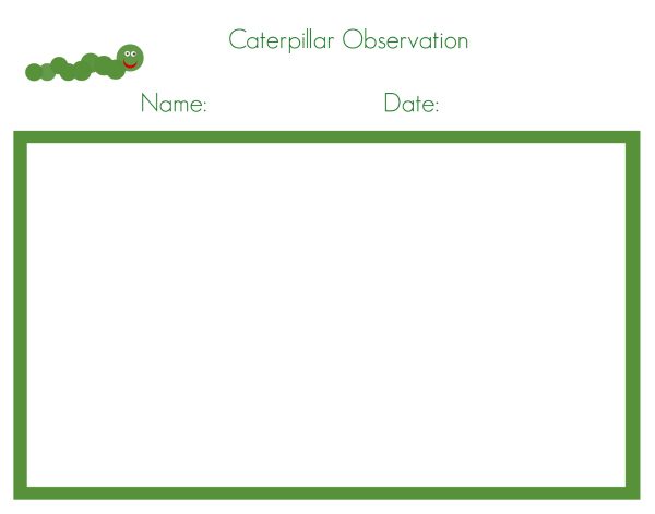 preschool science activities free printables caterpillar