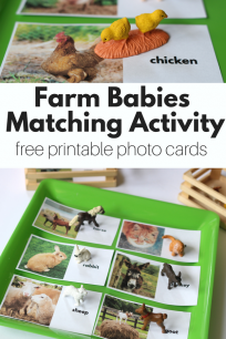 farm activity for preschool