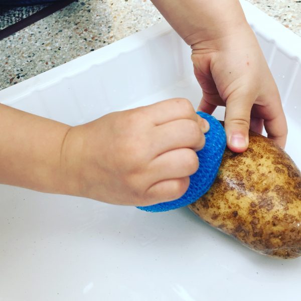 scrubbing potatoes at preschool 