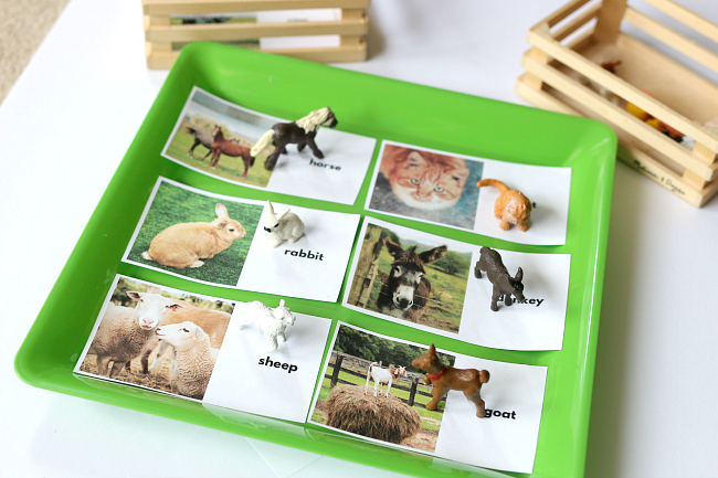 animal babies matching activity for preschool no time for flash cards
