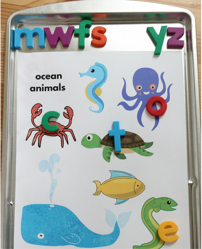ocean animals letter sounds