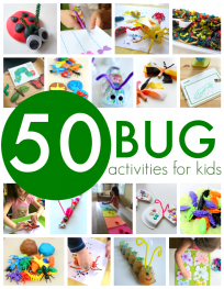 bug theme for preschool
