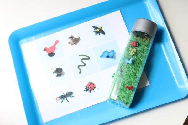 discovery bottle find and match mat activity for preschool