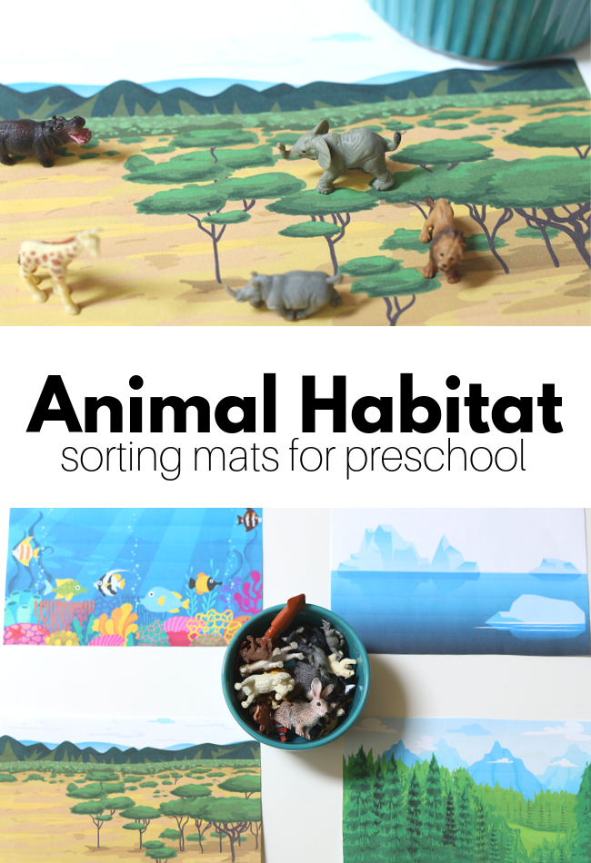 Animal Habitats - Preschool Science Activity - No Time For Flash Cards