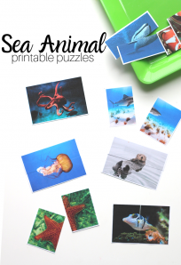 under the sea preschool