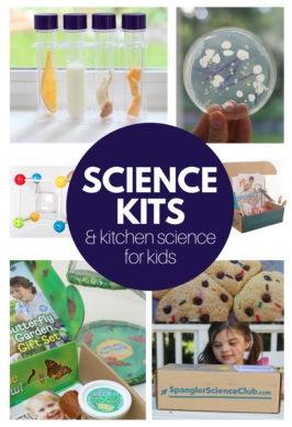 homeschool science ideas for kids