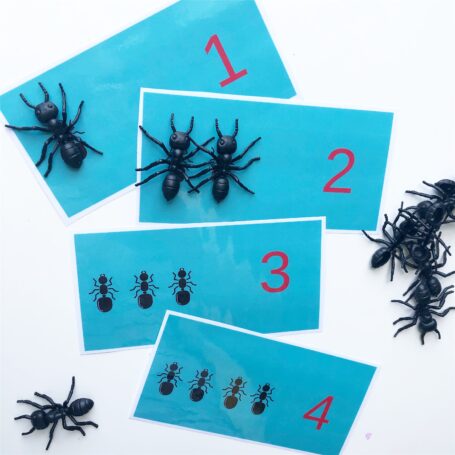 bug activities for preschoolers